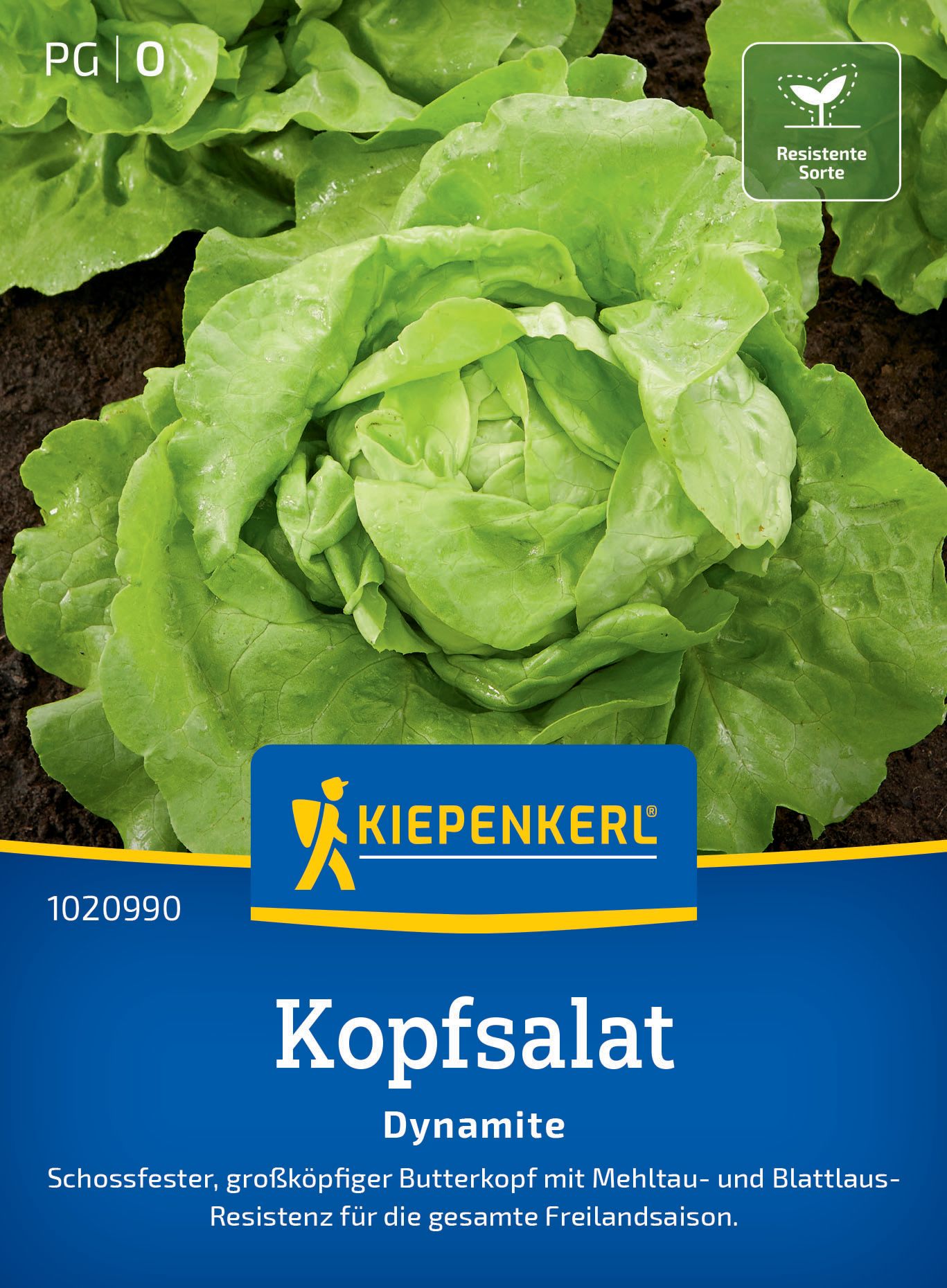Essen, Produzieren, Kopfsalat, Gemüse, Werbung