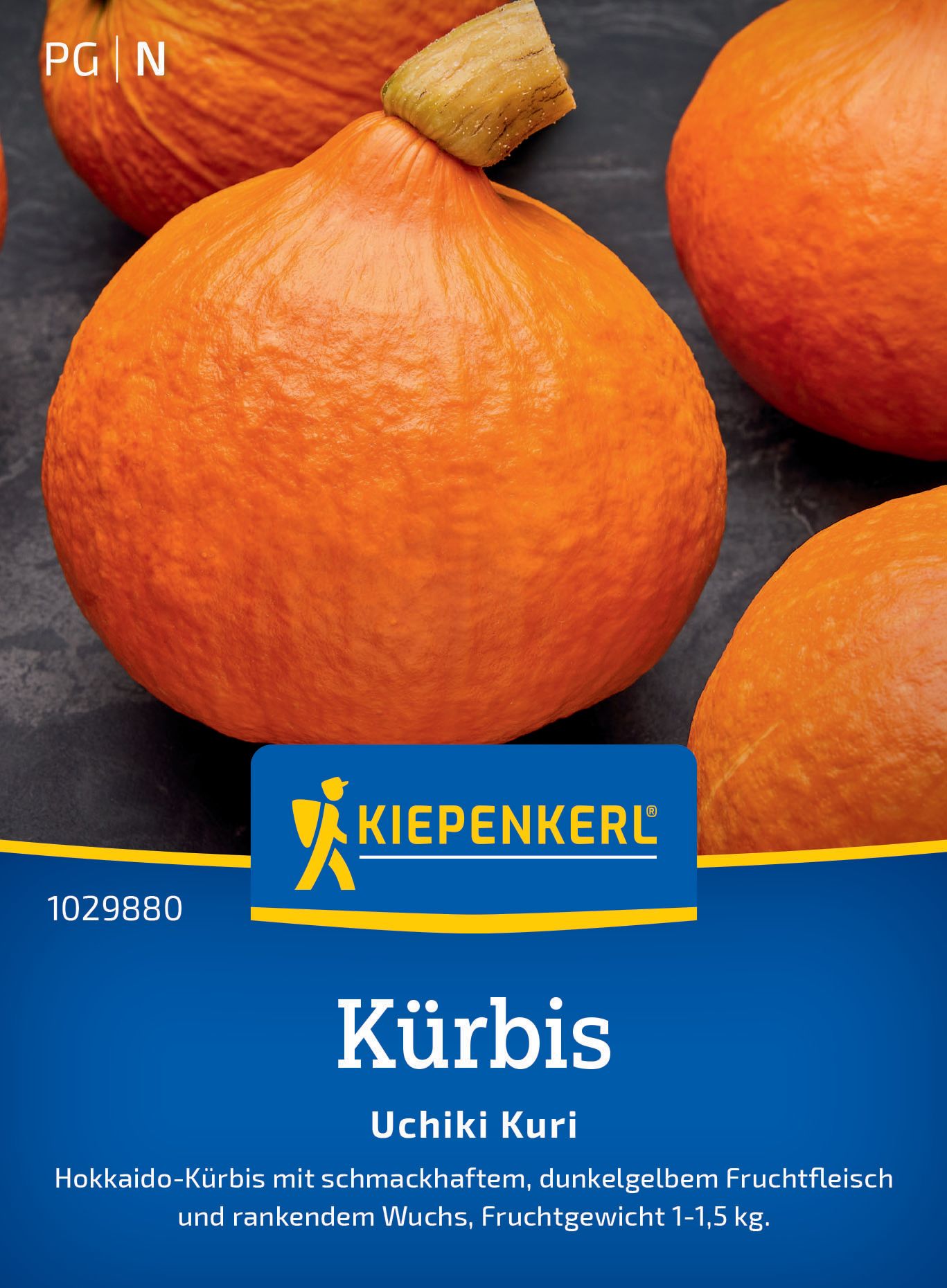 Werbung, Plakat, Orange, Produzieren, Kürbis