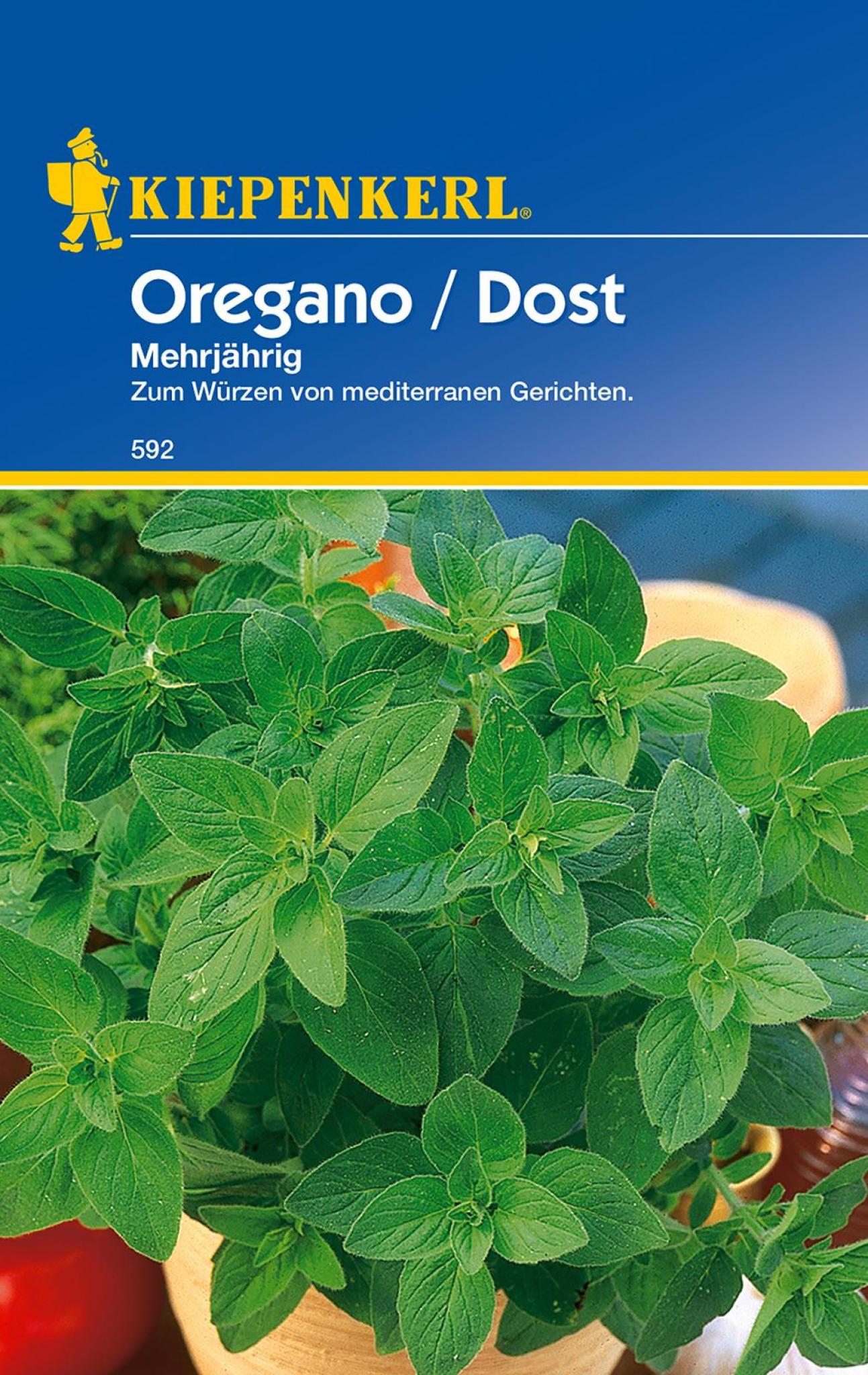 Oregano / Dost mehrjährig, Kräutersamen