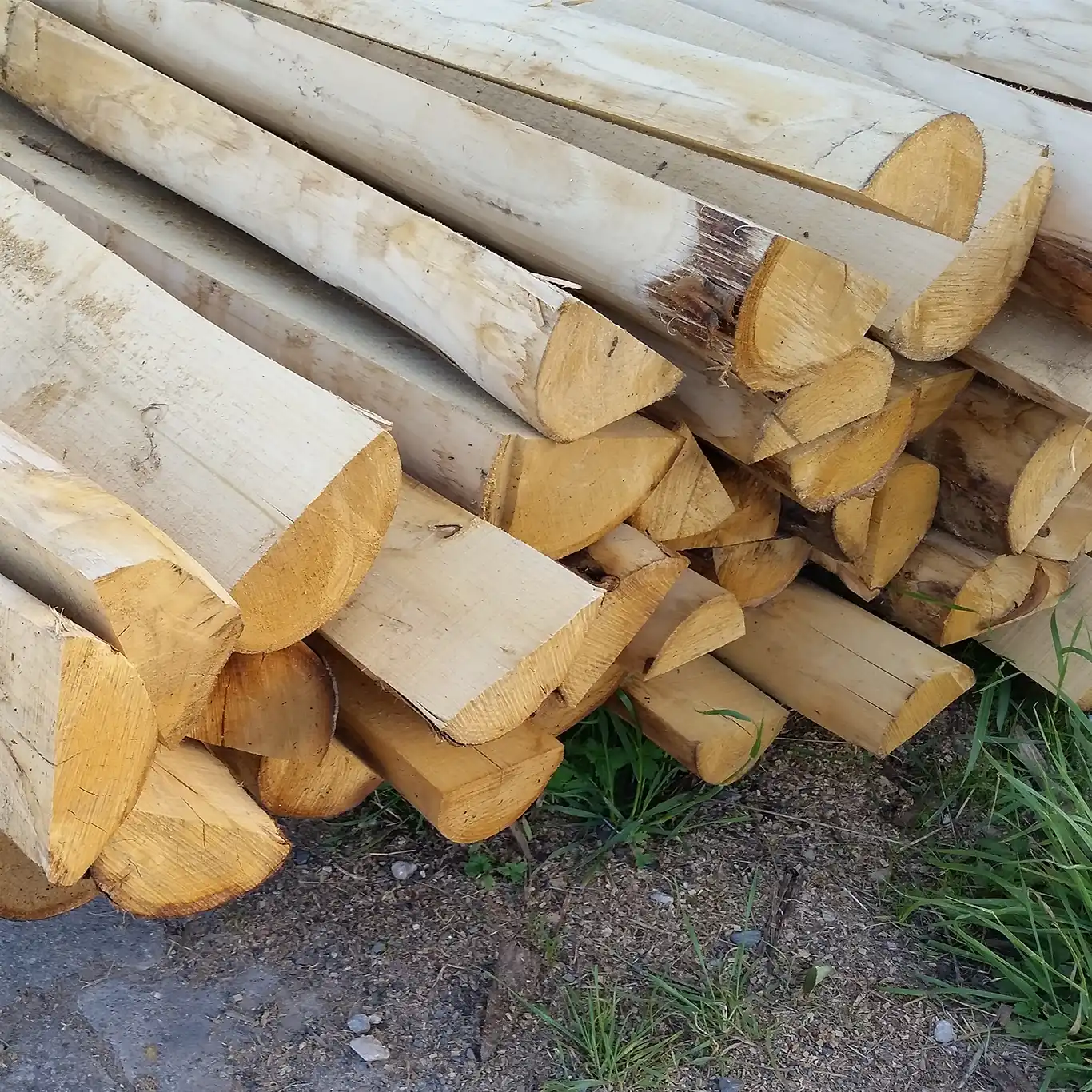 Halblatte Kastanienholz 10-13cm für Staketenzaun