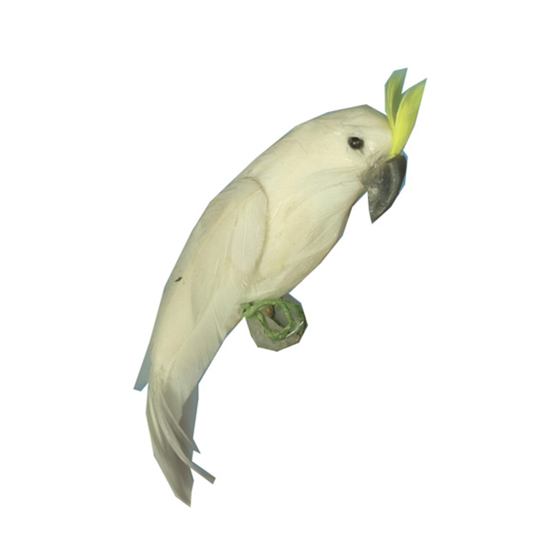 Kakadu Wichtelzubehör