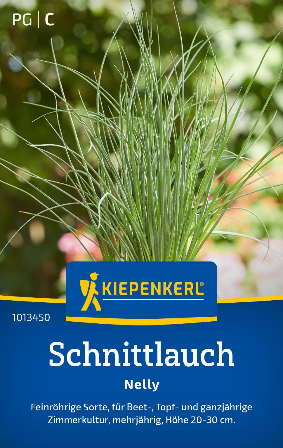 Gras, Pflanze, Werbung, Plakat, Vegetation