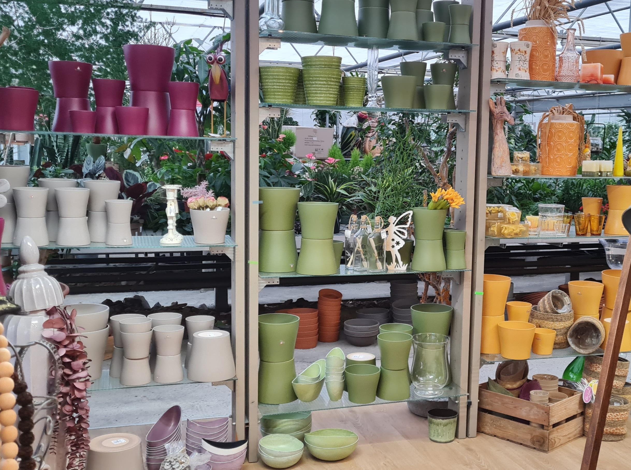 Große Auswahl an verschiendenen Blumentöpfen in vielen farben