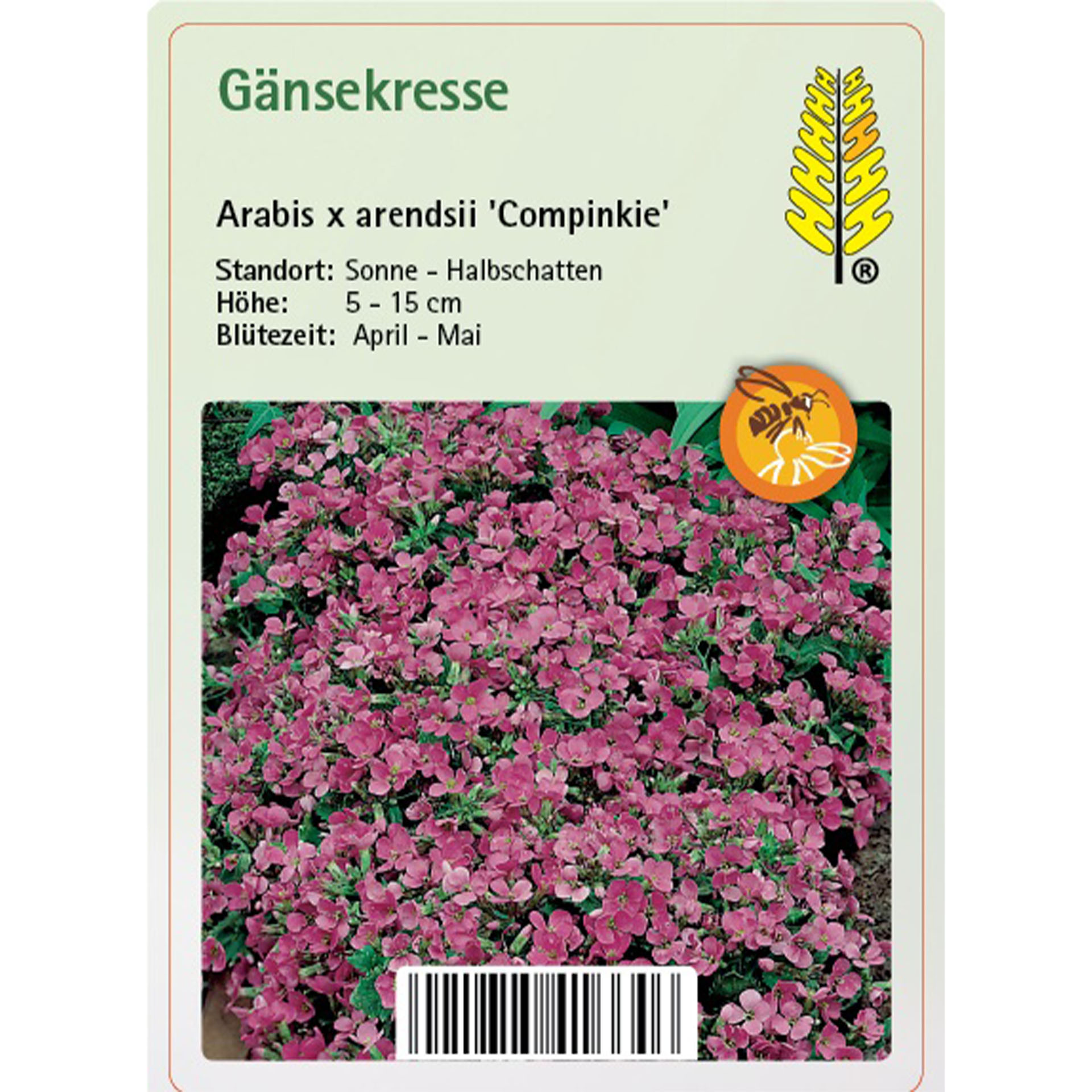 Blume, Blütenblatt, Pflanze, Geranie, Kräuterig