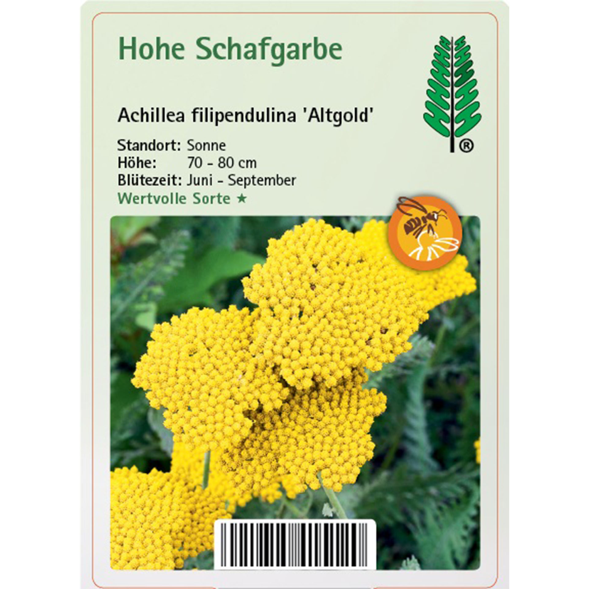 Blume, Pflanze, Blütenstaub