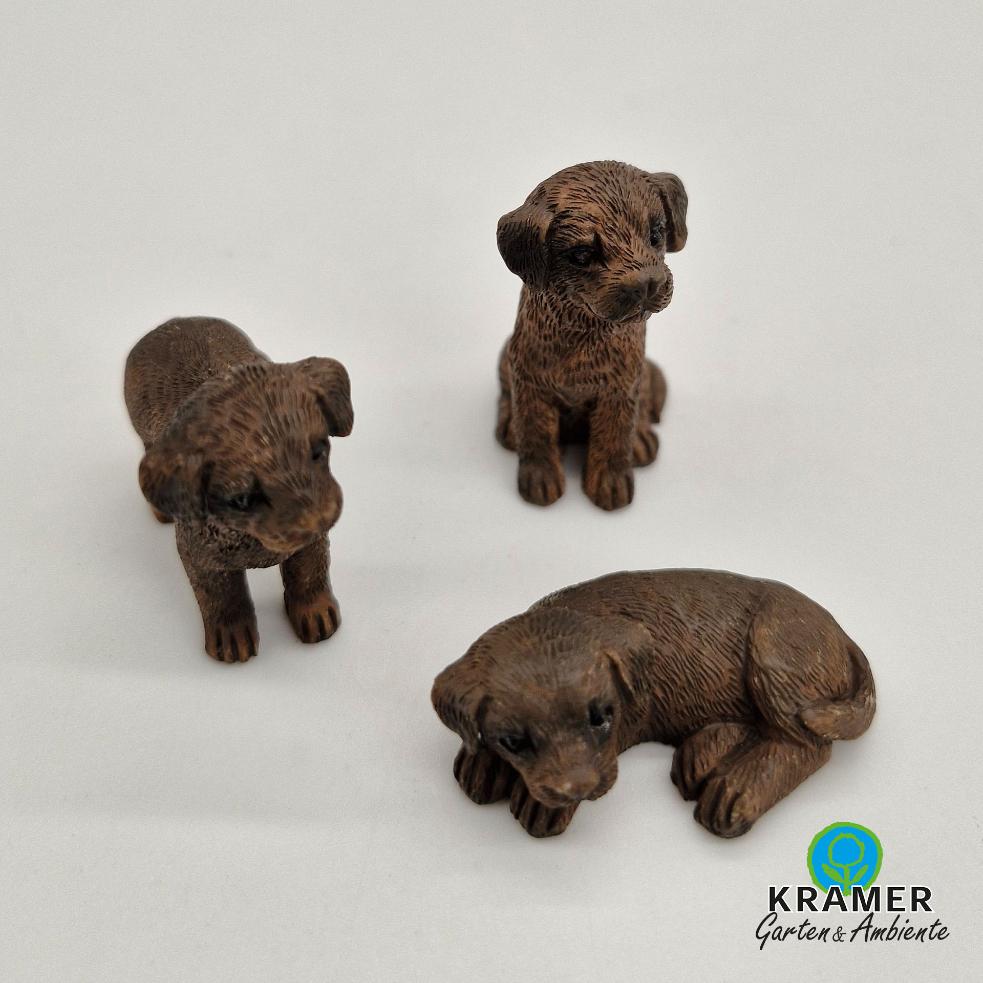 drei verschiedene Labrador-Welpen mit braunem Fell