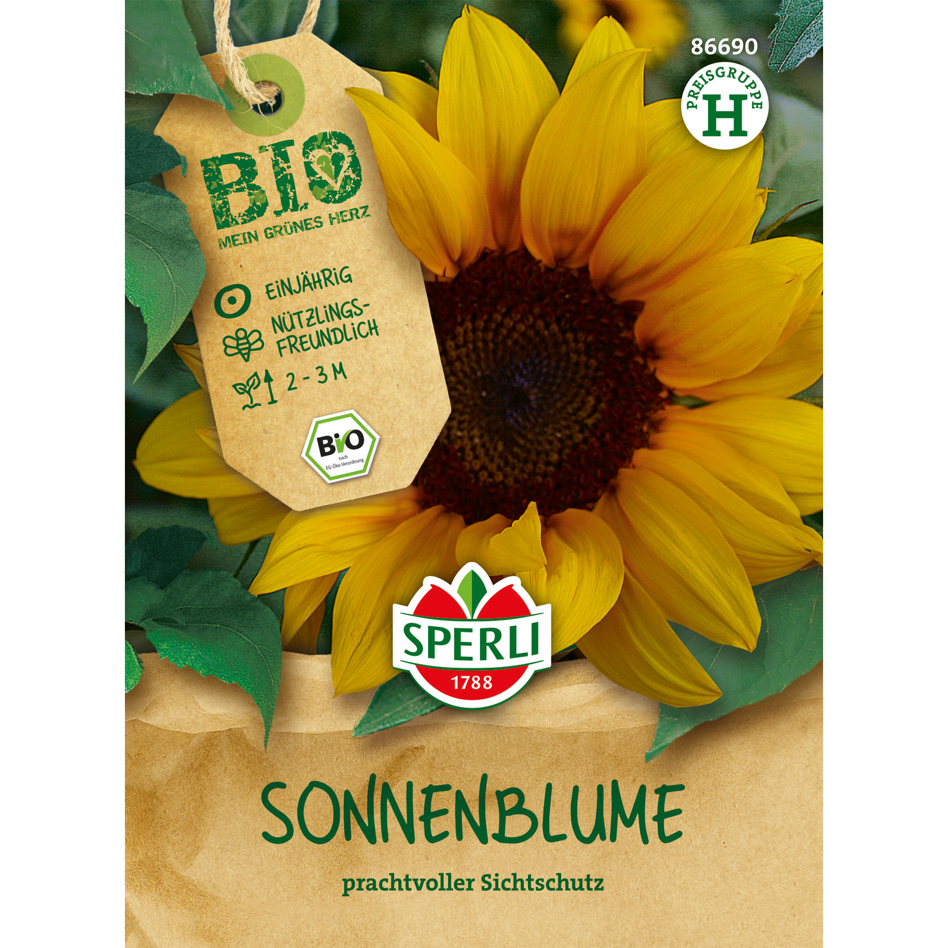 BIO Sonnenblume, Blumensamen
