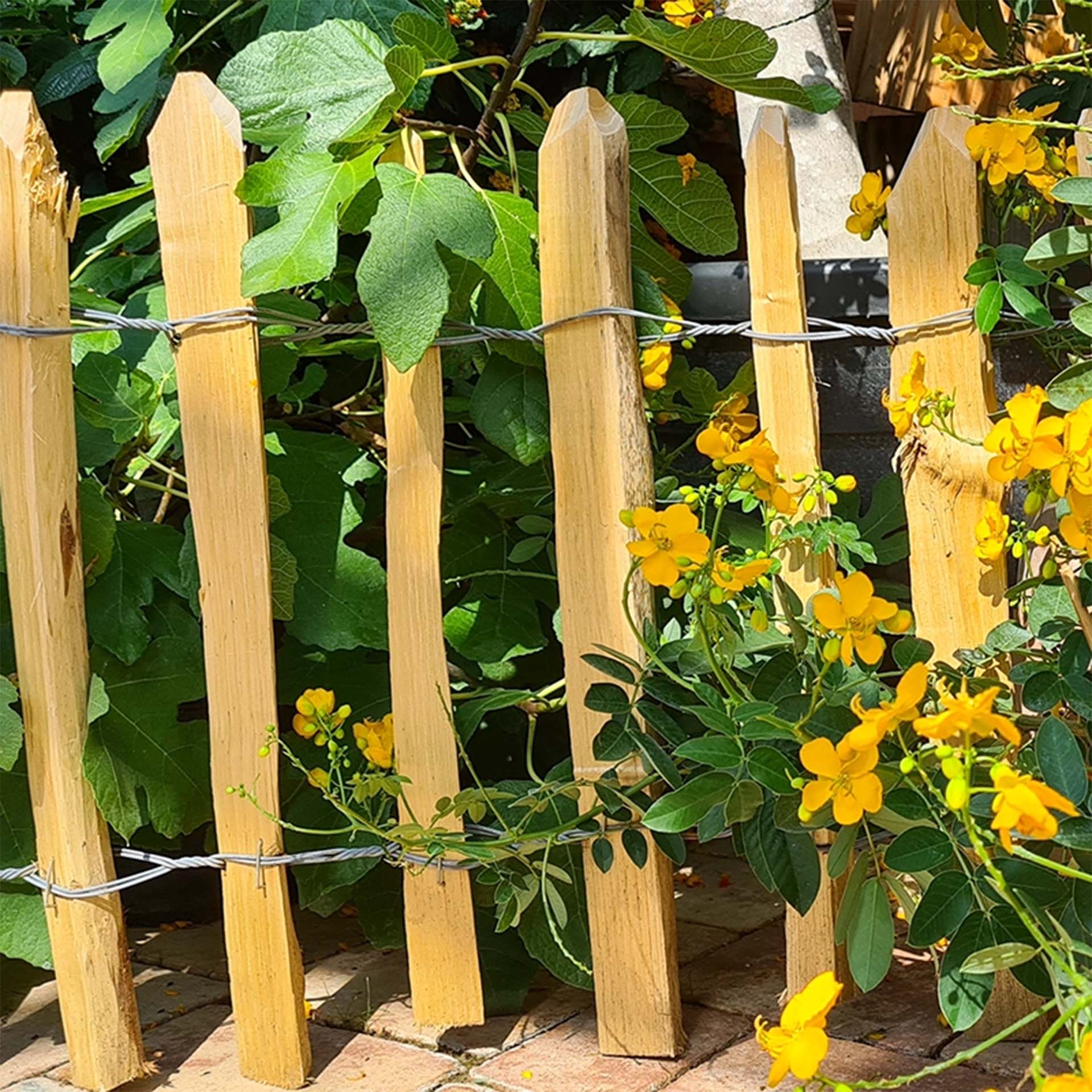 Staketenzaun mit blumen