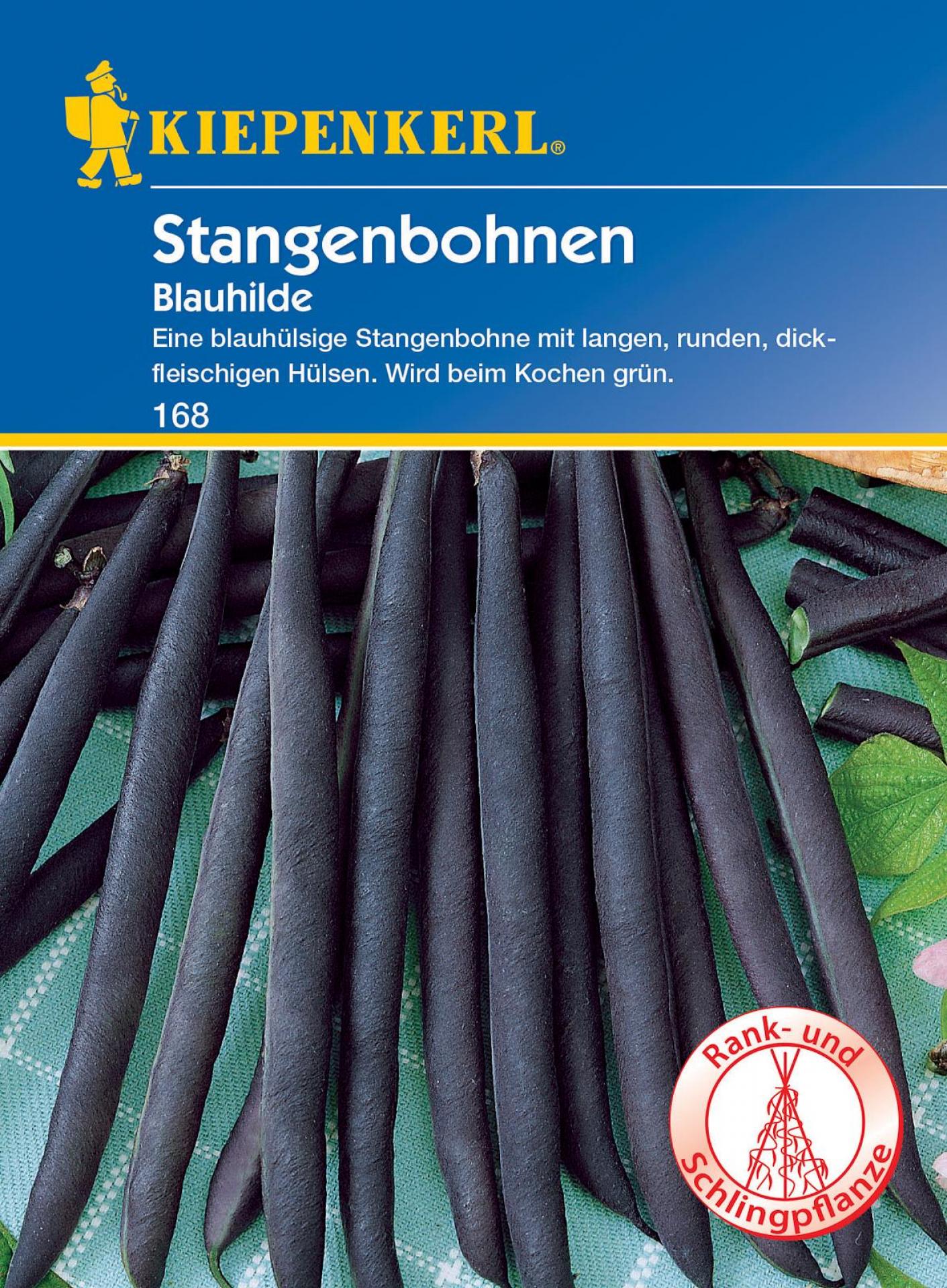 Stangenbohnen Blauhilde Gemüsesamen