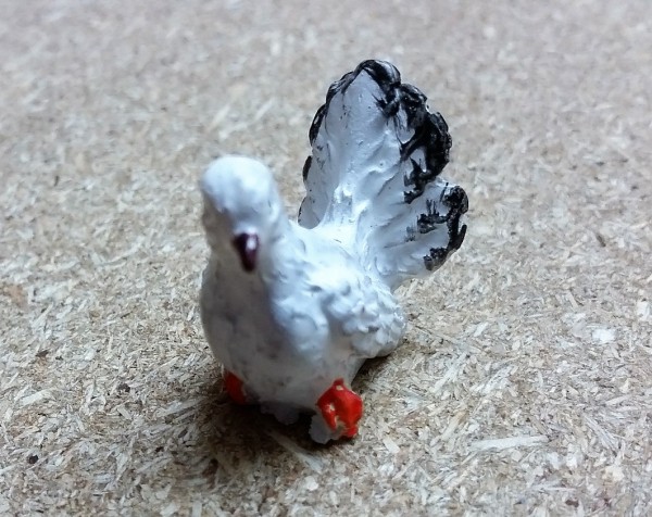 Taube weiß links schauend