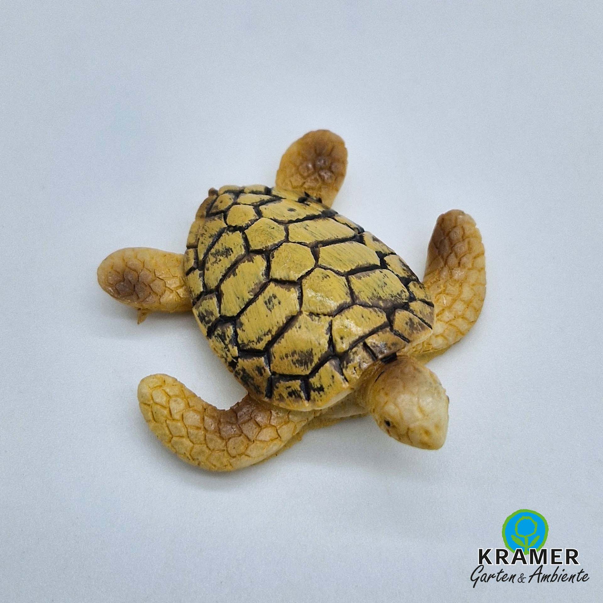 Tier, Reptil, Leben im Meer, Schildkröte, Tier, Reptil, Leben im Meer, Schildkröte, Tier, Reptil, Leben im Meer, Schildkröte, Tier, Leben im Meer, Schildkröte, Meeresschildkröte, Tier, Leben im Meer, Schildkröte, Meeresschildkröte