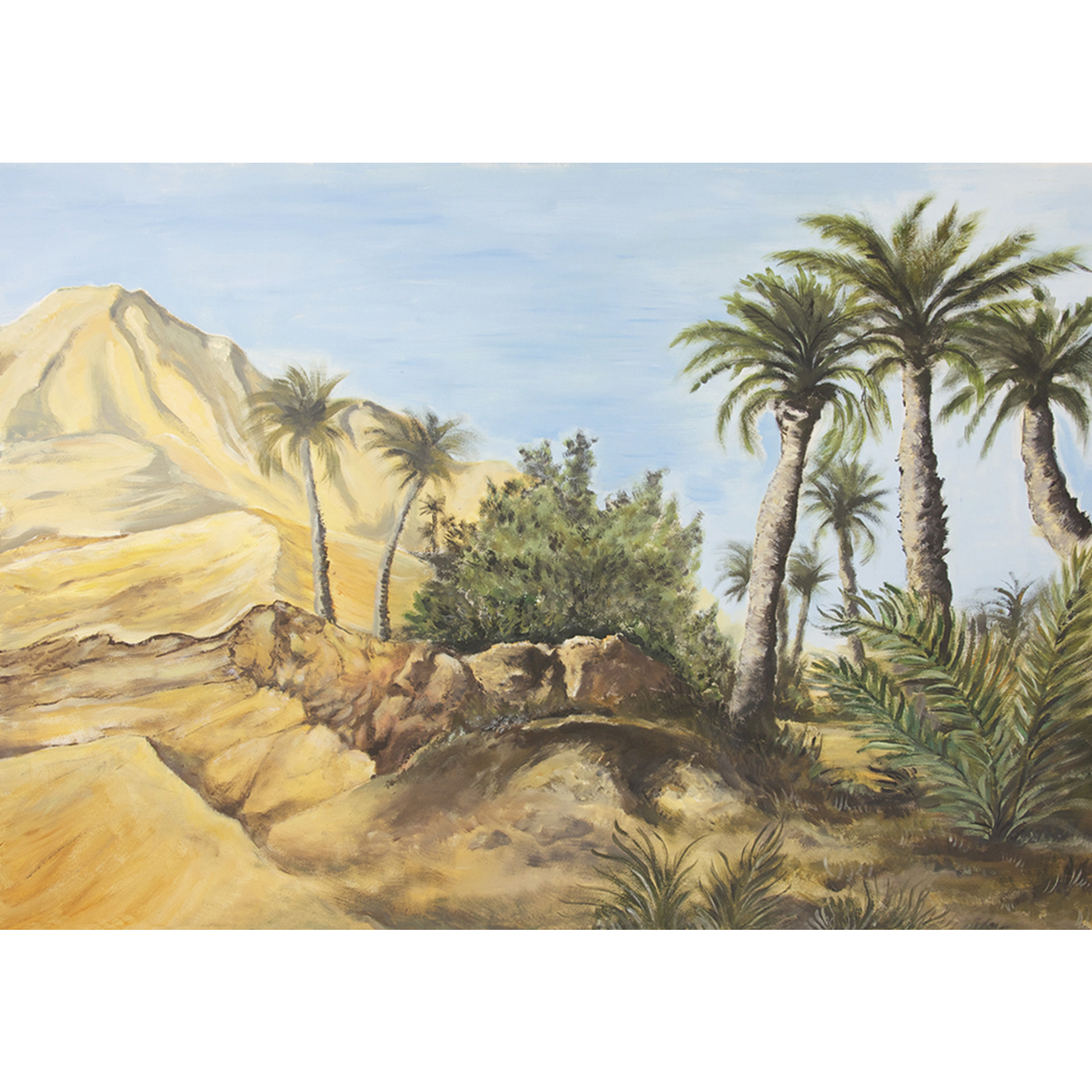 im Vordergrund Palmen, dahinter Gebirge und blauer Himmel