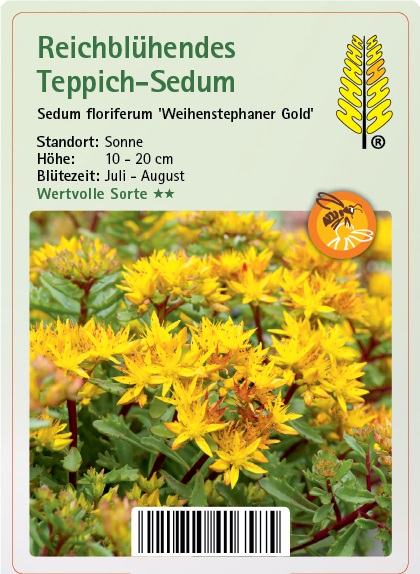 Blütenstaub, Kräuterig, Blume, Vegetation, Blatt