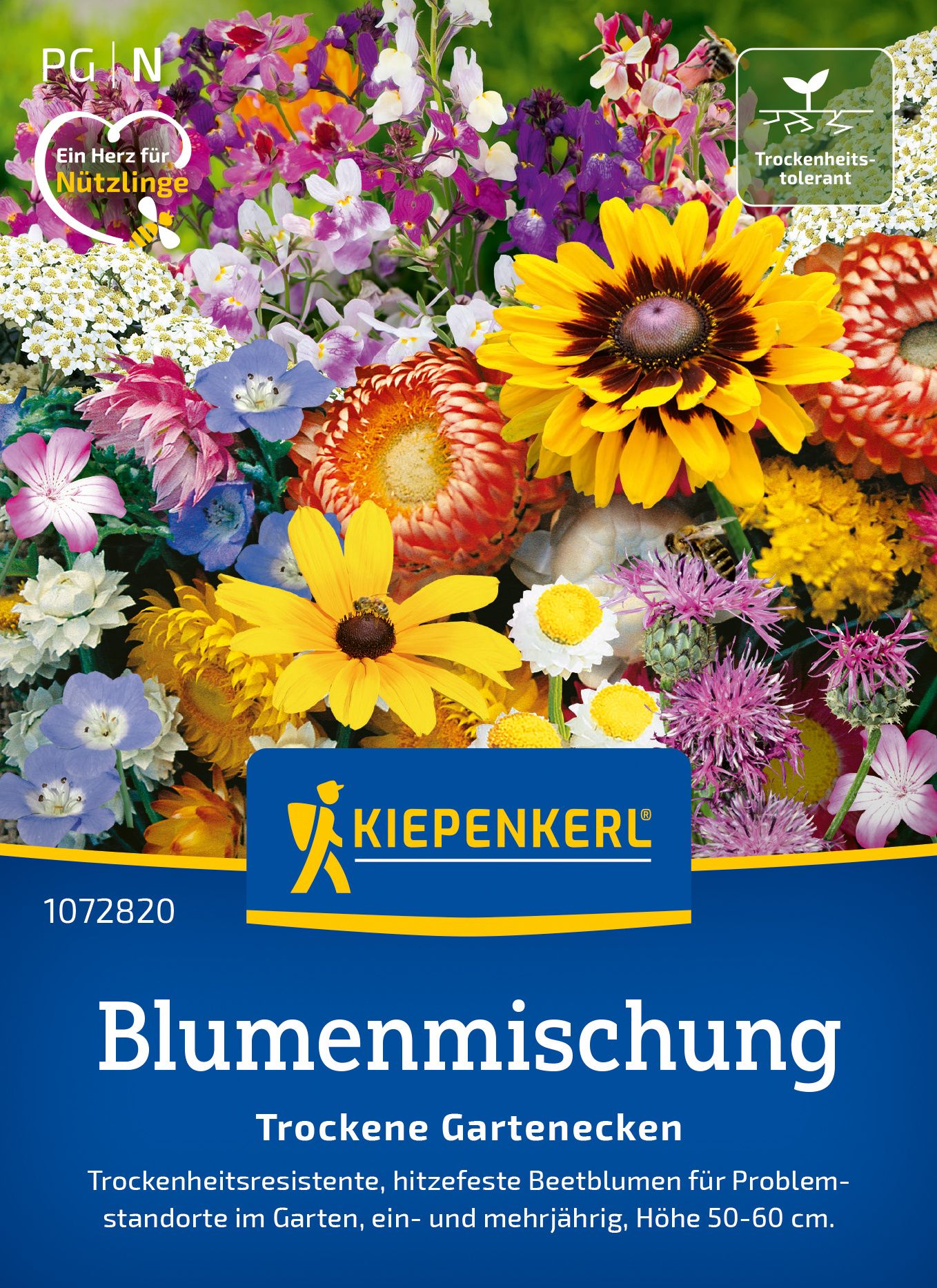 Werbung, Plakat, Blume, Pflanze, Gänseblümchen