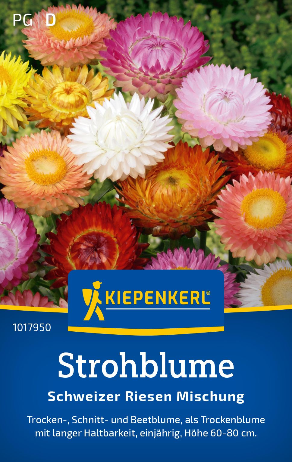 Werbung, Plakat, Gänseblümchen, Blume, Blütenblatt