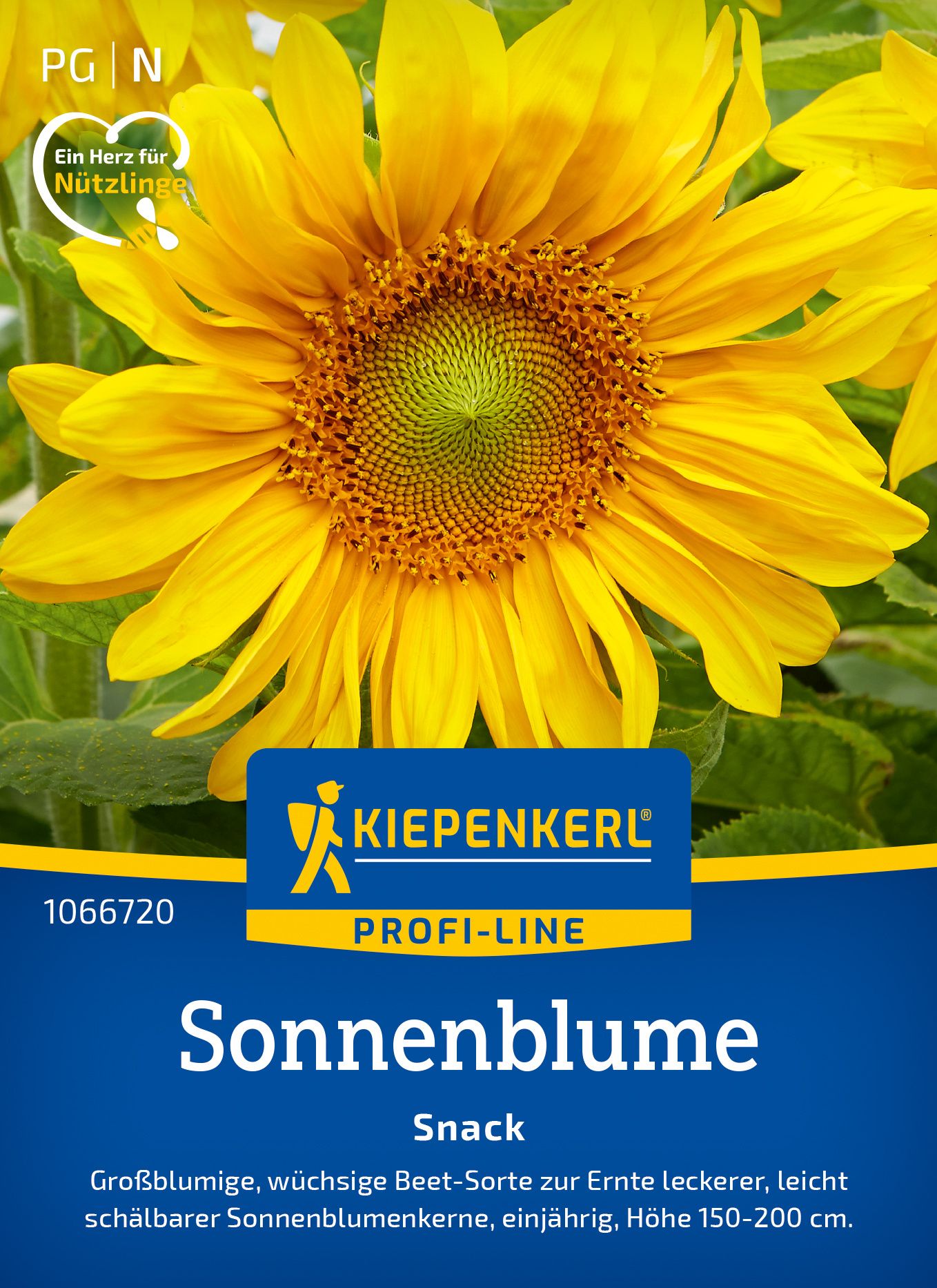 Sonnenblume Snack  PG-N