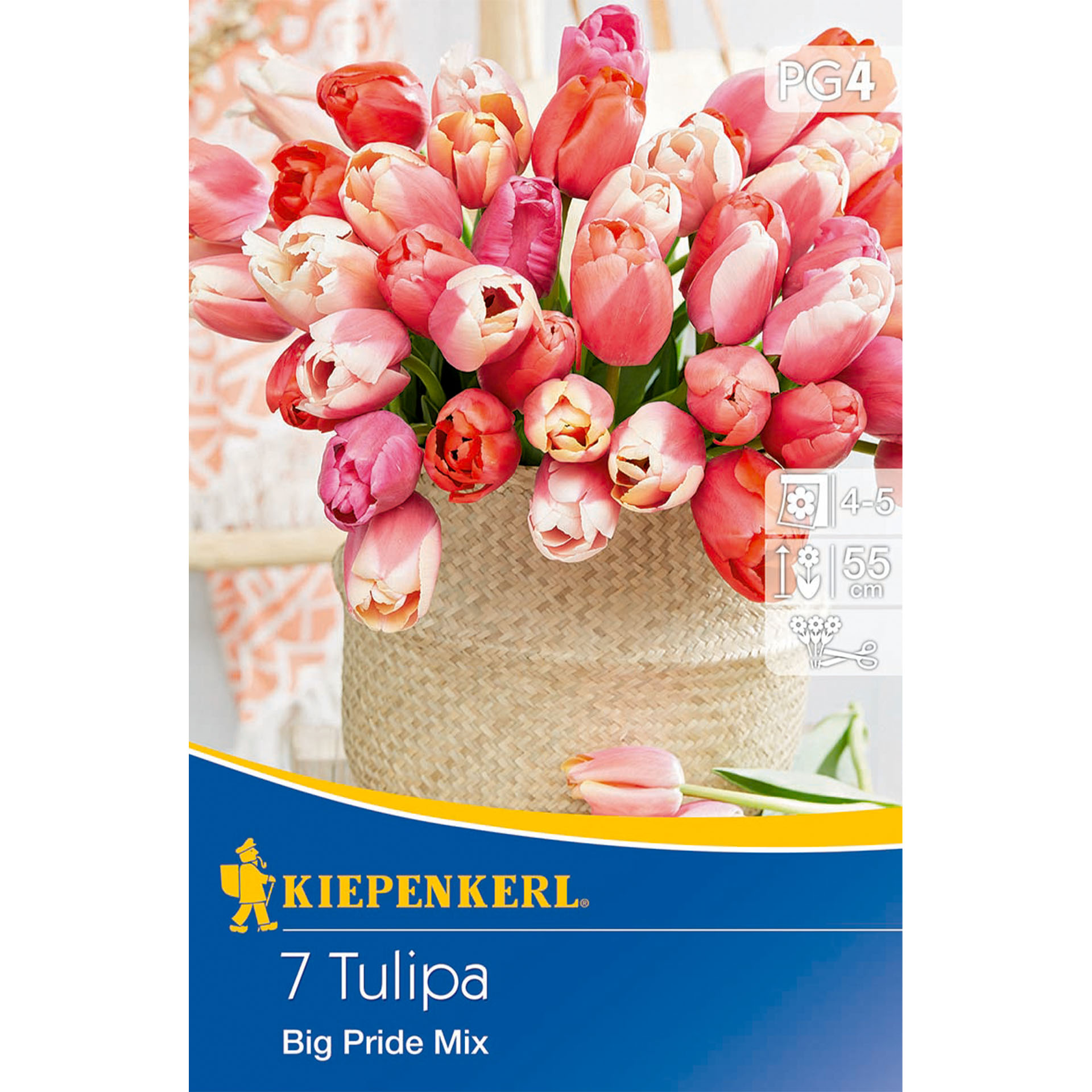 Blume, Blumen-Arrangement, Blumenstrauß, Blütenblatt, Werbung