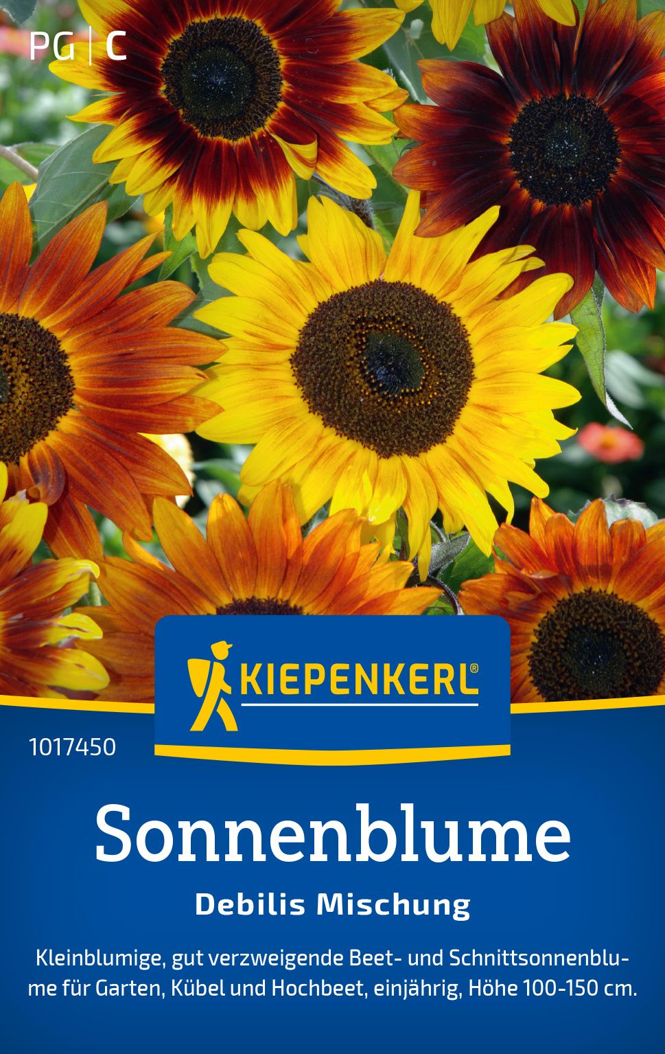 Werbung, Plakat, Blume, Pflanze, Sonnenblume