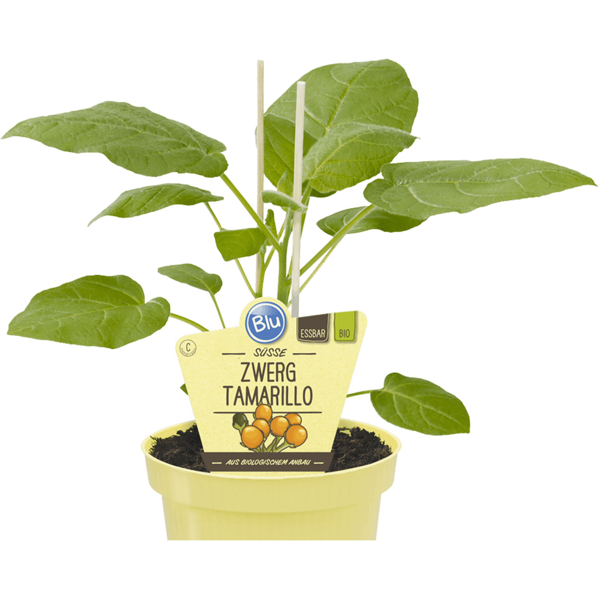 Bioanbau Bio Frucht Geschmack exotisch-fruchtig