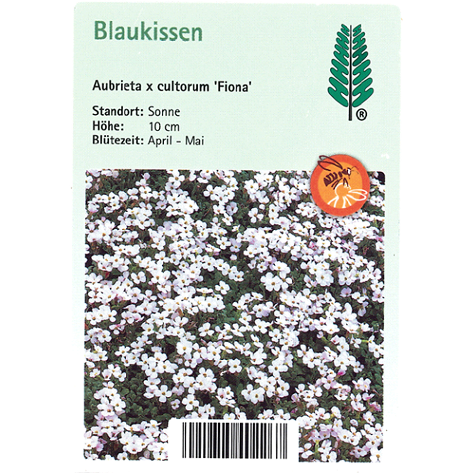 Blume, Pflanze, Text, Papier