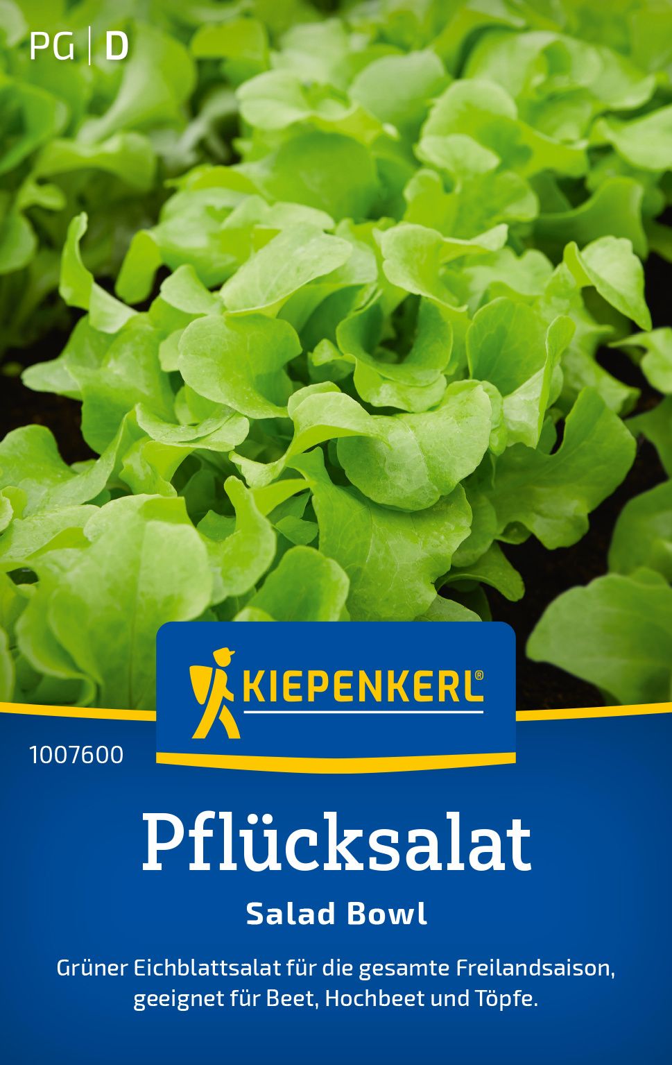 Pflanze, Essen, Kopfsalat, Produzieren, Werbung