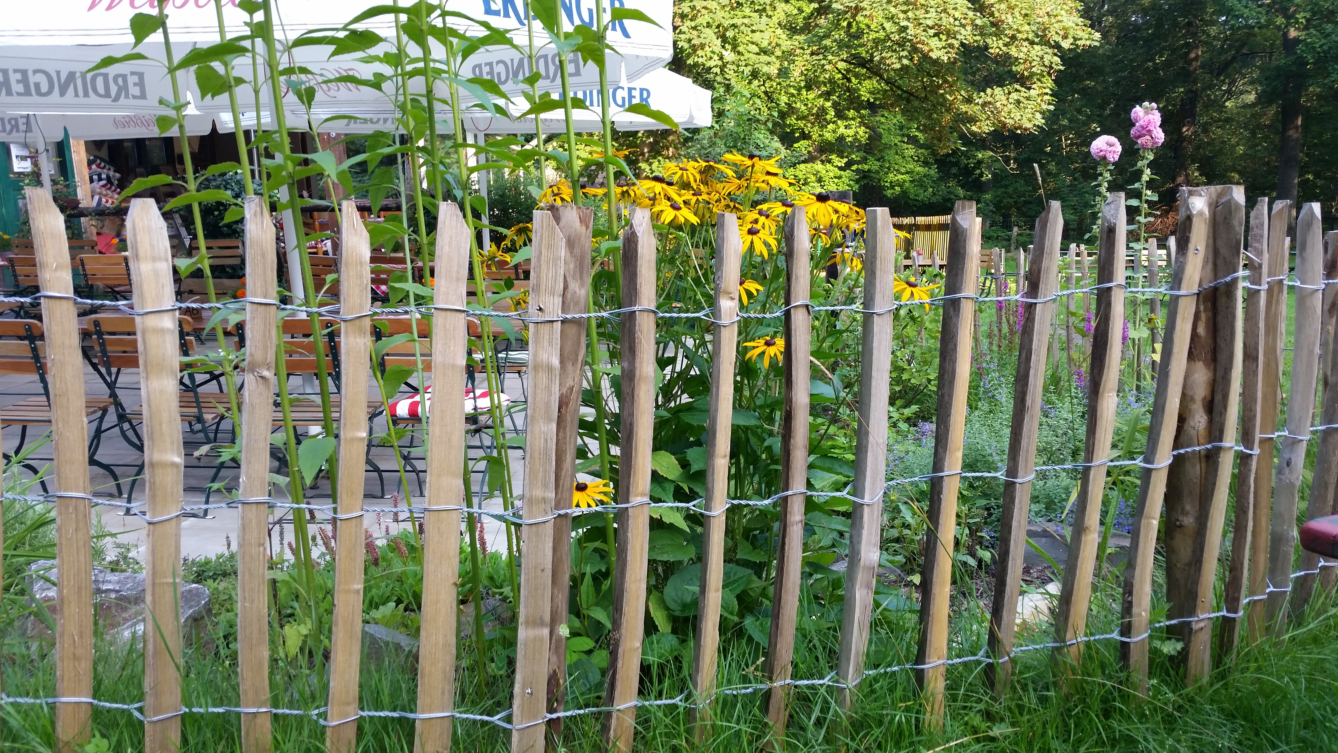 Staketenzaun 50x5cm Edelkastanienholz