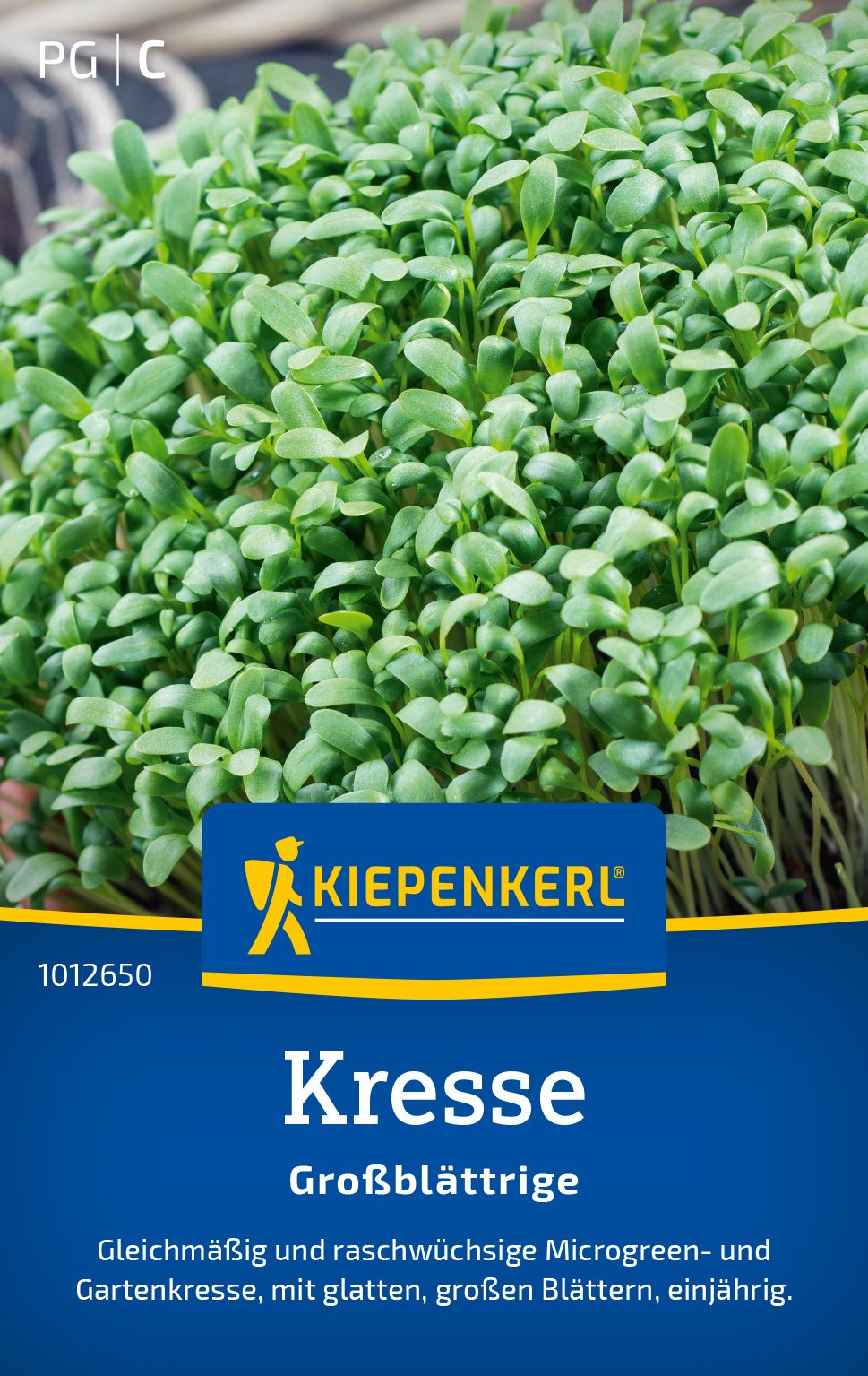 Kräuterig, Pflanze, Grünes Blattgemüse, Produzieren, Gemüse