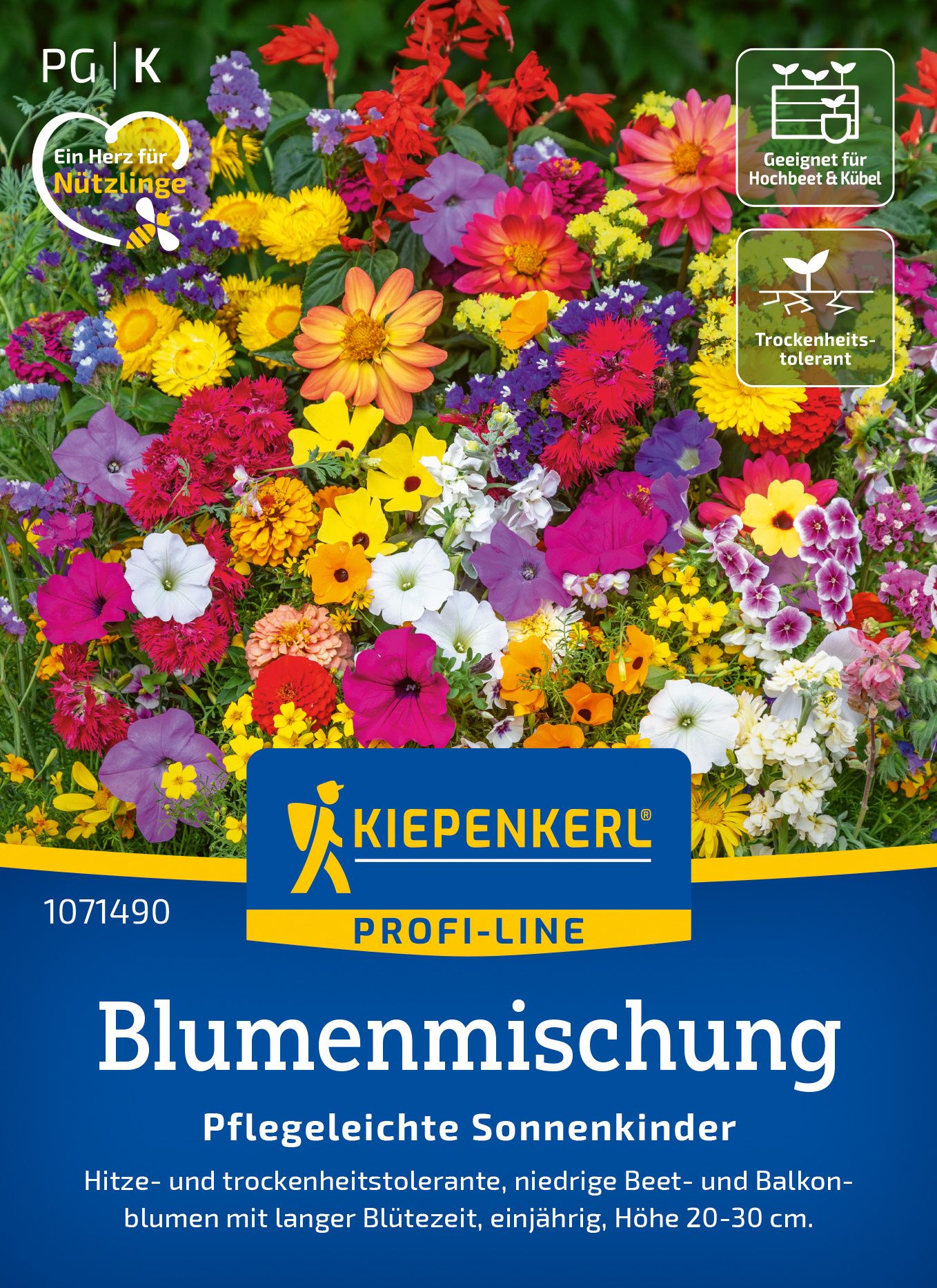 Werbung, Plakat, Kräuter, Blume, Blütenblatt