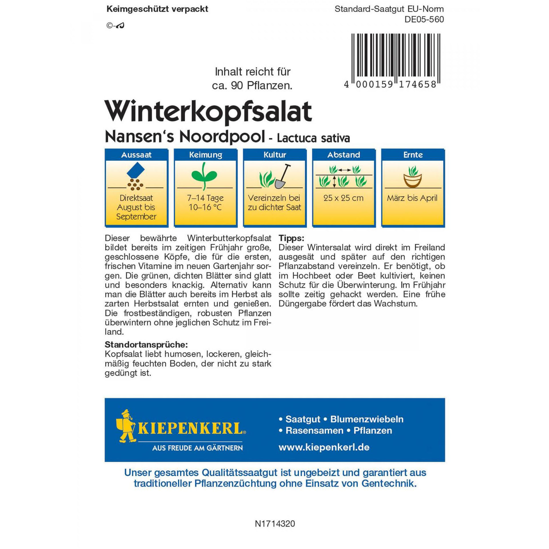 Gemüsesamen Winterkkopfsalat Kopfsalat Salat Sämereien Gemüsegarten Hobbygärtner