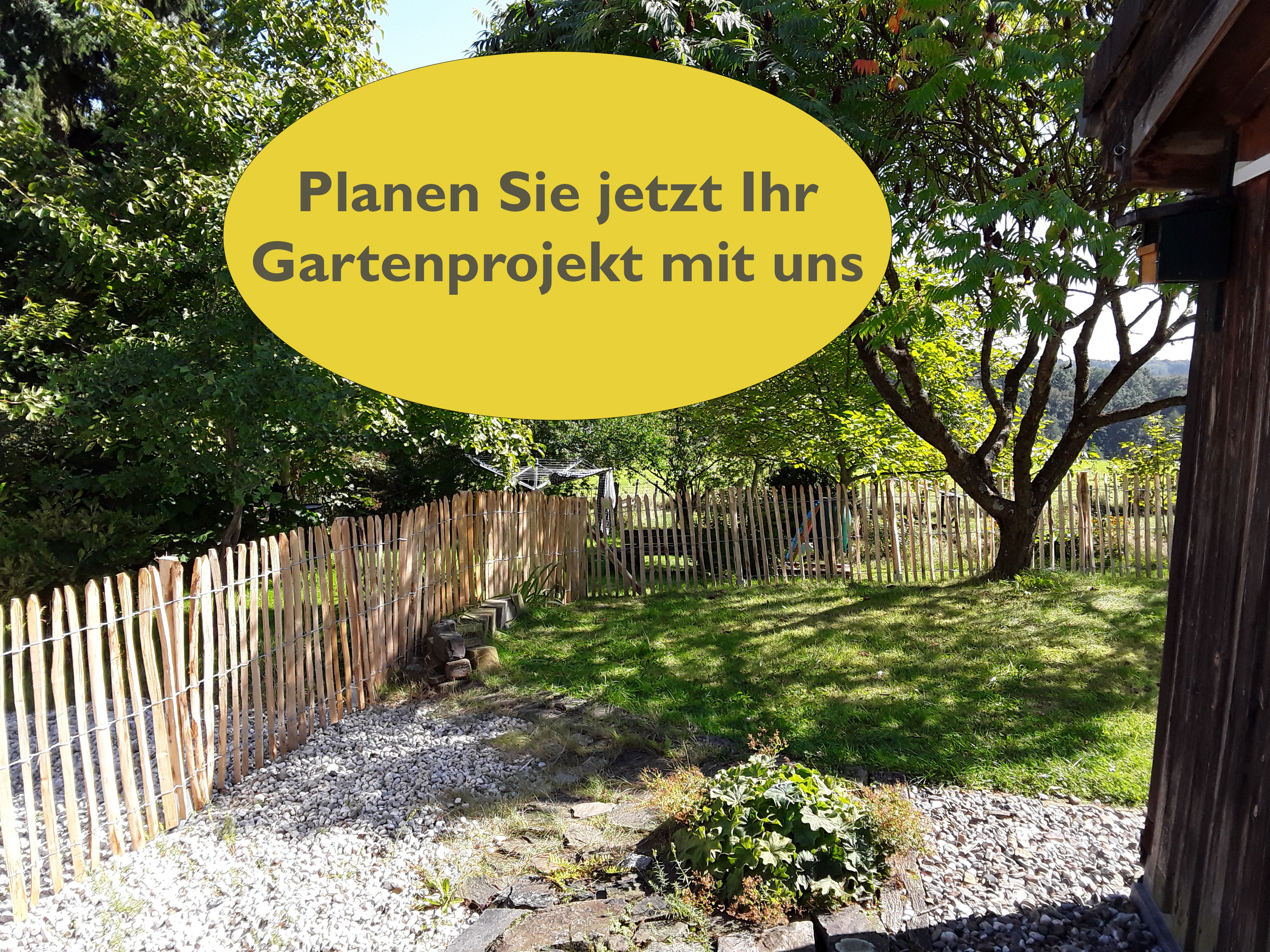 Hinterhof, Natur, Im Freien, Hof, Garten