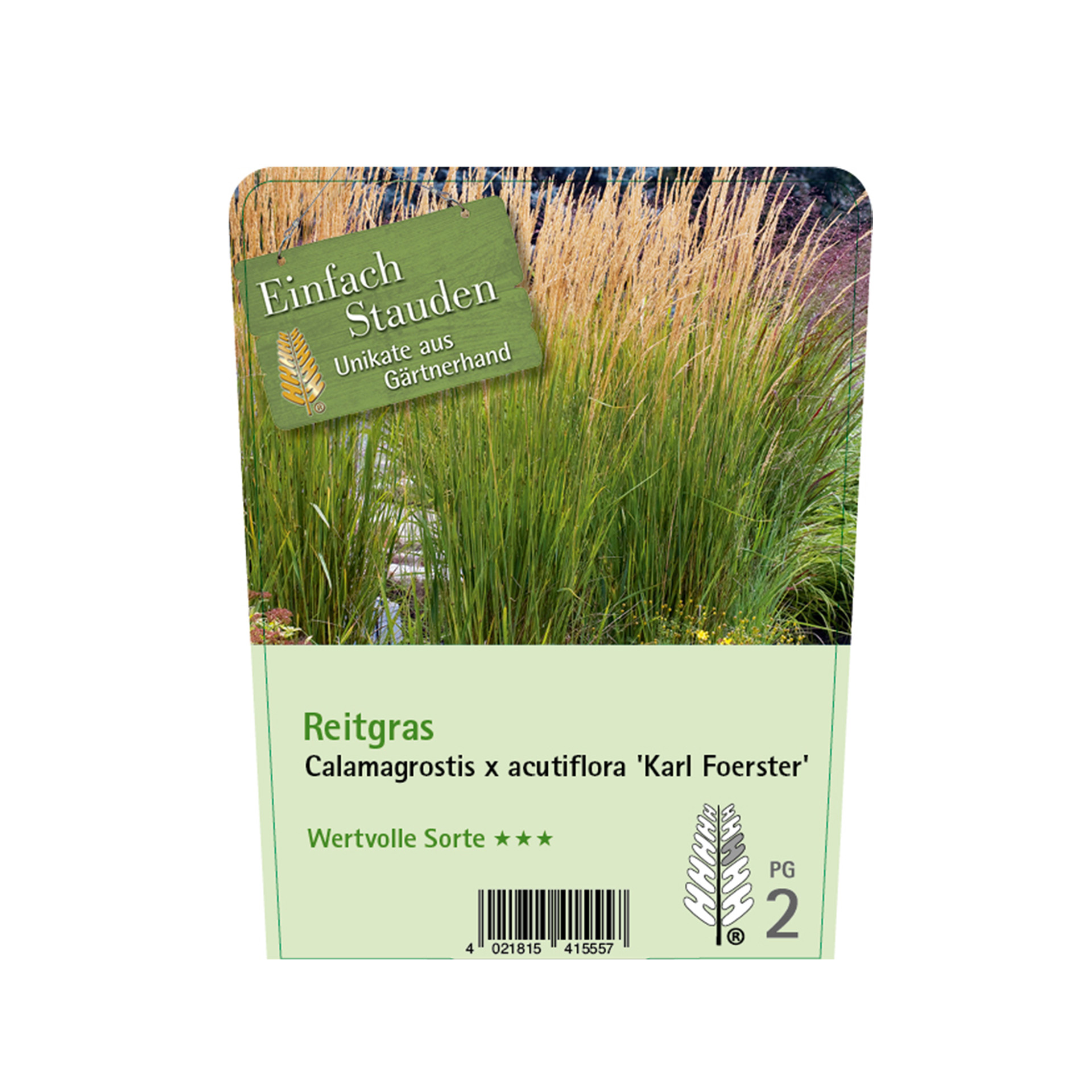 Reitgras - Calamagrostis x acutiflora 'Karl Foerster', C3
