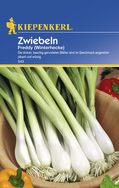 Zwiebeln Freddy Winterhecke
