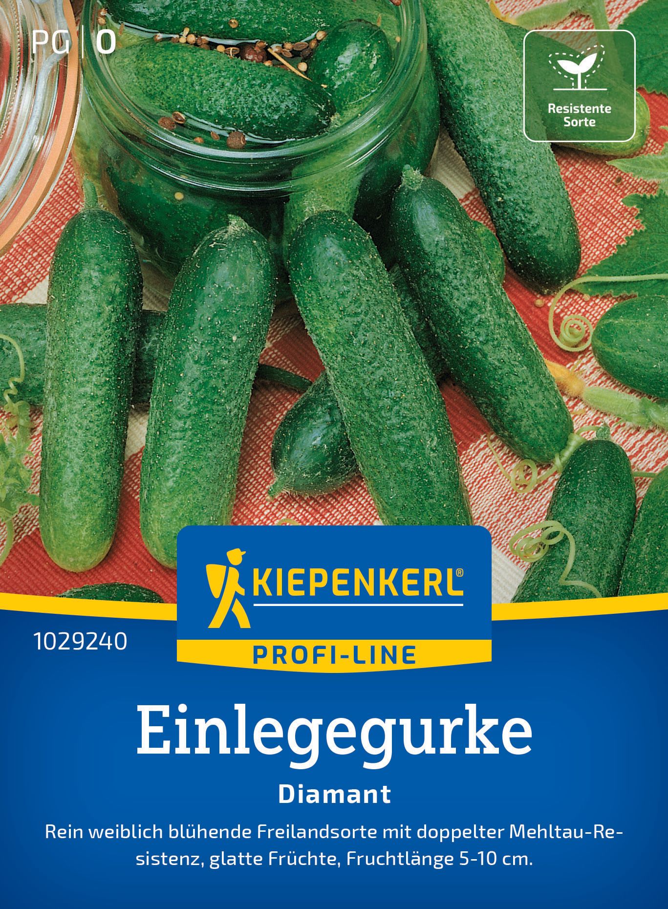 Gurke, Essen, Pflanze, Produzieren, Gemüse