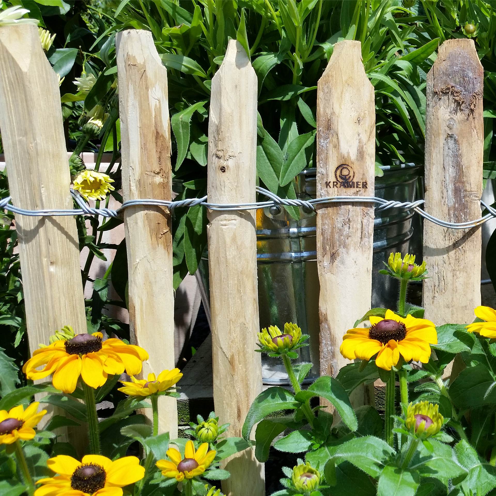 Stück vom Staketenzaun mit Sonnenblumen davbor, holzwand, zaun, blumen, sonnenblume, drahtband, Holzlattenzaun, Zaun, Draht, Metallband, Sonnenblumen